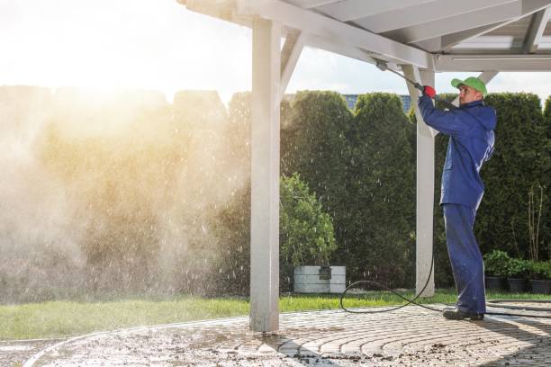 Best Animal Enclosure Cleaning  in De Witt, NY